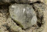 Herkimer Diamonds in Matrix - The Ace of Diamonds Mine, New York #324464-1